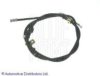 BLUE PRINT ADC44681 Cable, parking brake